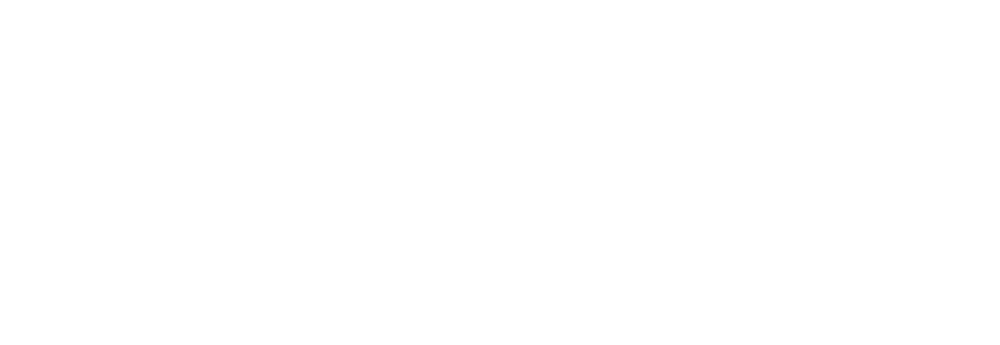 Flame King